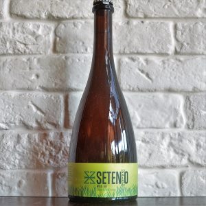 SETENIO-WILD-ALE_vred.jpg