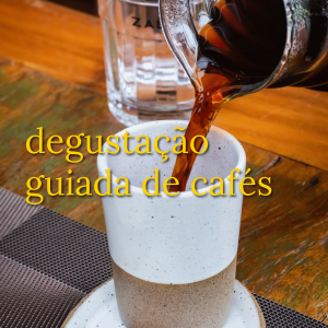 degustação-guiada-cafés